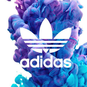 Meet your Posher, Dixie